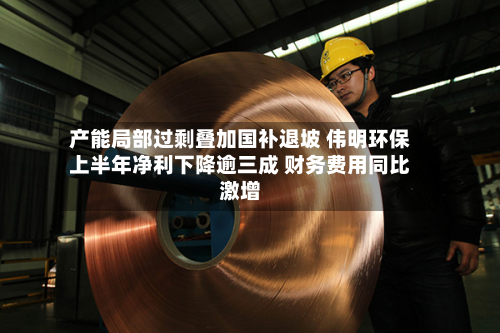 产能局部过剩叠加国补退坡 伟明环保上半年净利下降逾三成 财务费用同比激增-第1张图片