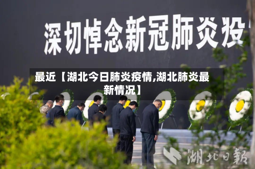 最近【湖北今日肺炎疫情,湖北肺炎最新情况】-第2张图片