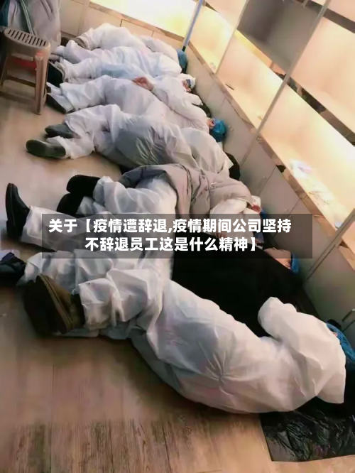 关于【疫情遭辞退,疫情期间公司坚持不辞退员工这是什么精神】-第1张图片