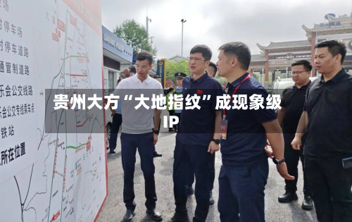 贵州大方“大地指纹”成现象级IP-第1张图片