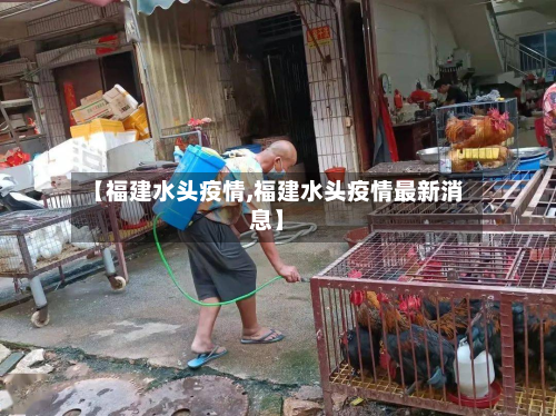 【福建水头疫情,福建水头疫情最新消息】-第2张图片