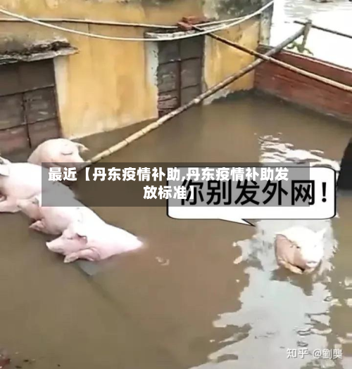 最近【丹东疫情补助,丹东疫情补助发放标准】-第1张图片