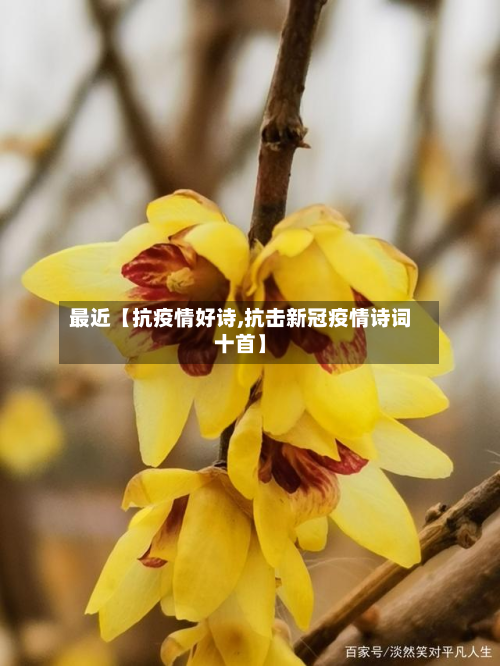 最近【抗疫情好诗,抗击新冠疫情诗词十首】-第1张图片