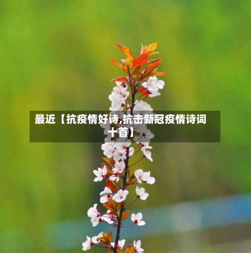最近【抗疫情好诗,抗击新冠疫情诗词十首】-第2张图片