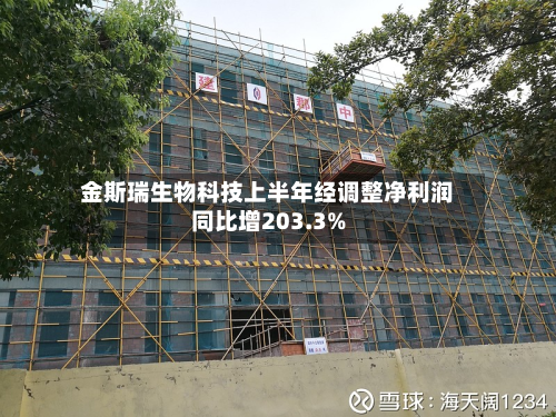 金斯瑞生物科技上半年经调整净利润同比增203.3%-第1张图片