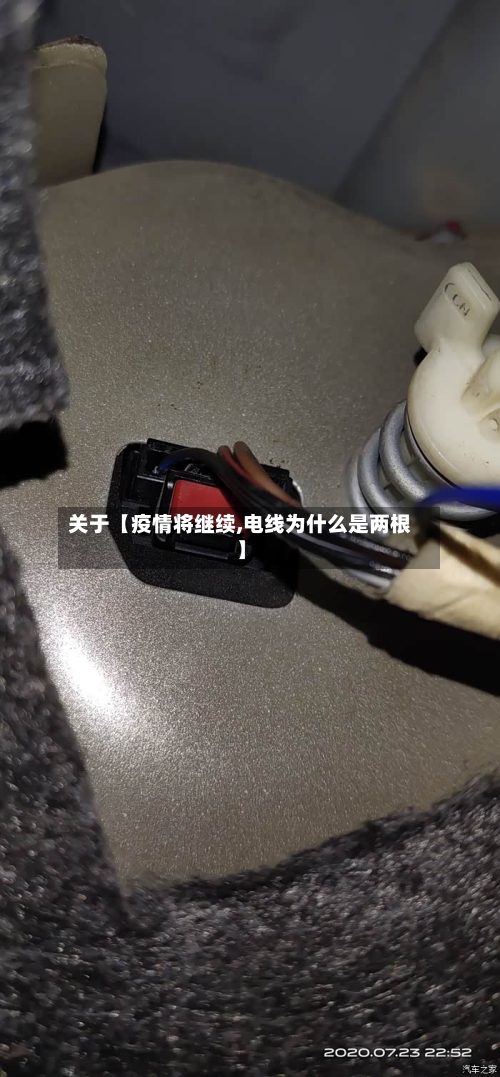 关于【疫情将继续,电线为什么是两根】-第1张图片