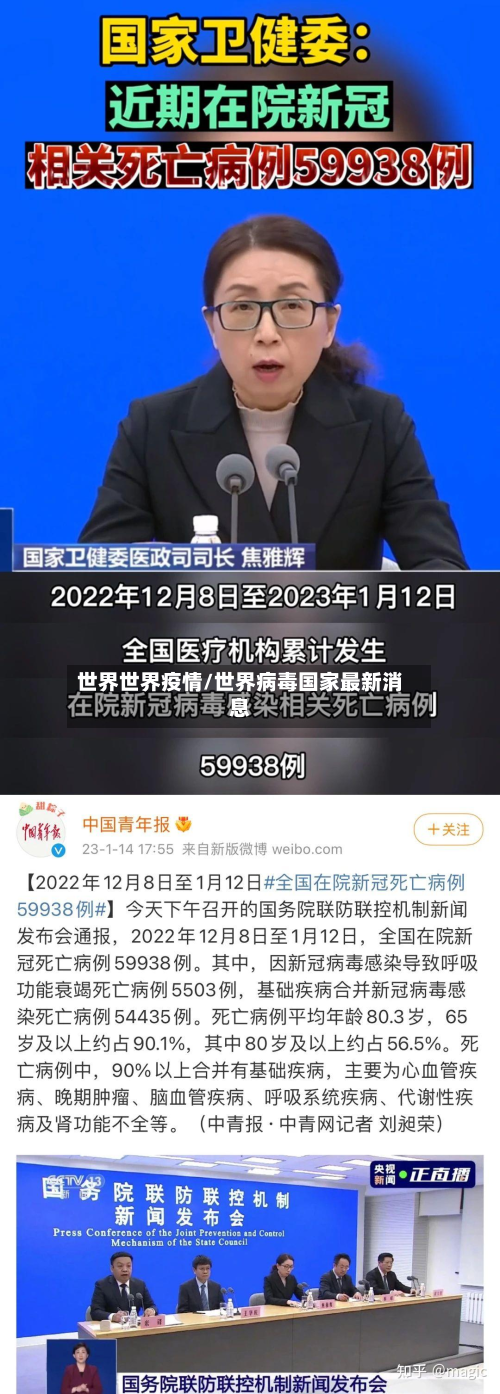 世界世界疫情/世界病毒国家最新消息-第1张图片