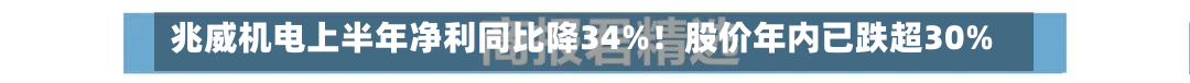 兆威机电上半年净利同比降34%！股价年内已跌超30%-第1张图片
