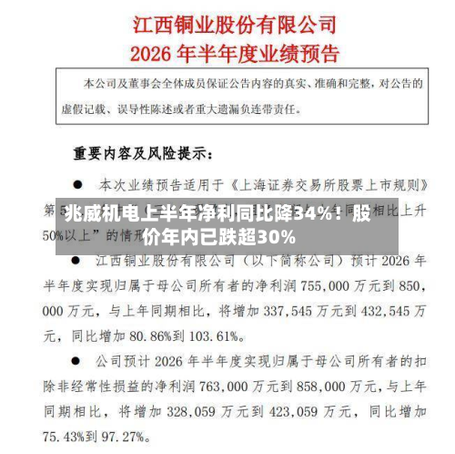 兆威机电上半年净利同比降34%！股价年内已跌超30%-第2张图片
