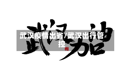 武汉疫情出省/武汉出行管控-第2张图片