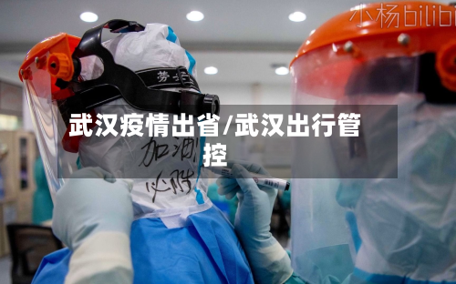 武汉疫情出省/武汉出行管控-第3张图片