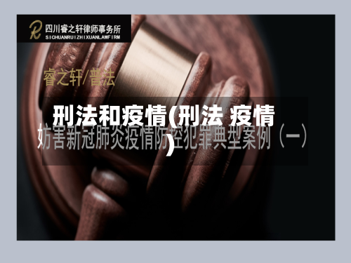 刑法和疫情(刑法 疫情)-第2张图片