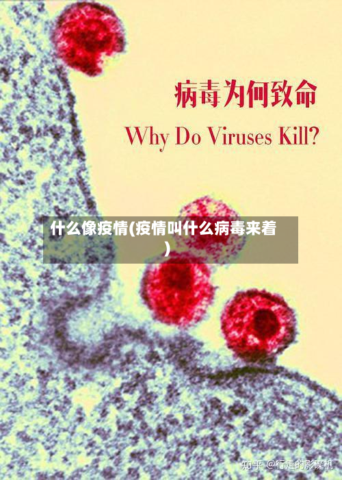 什么像疫情(疫情叫什么病毒来着)-第2张图片
