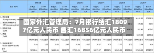 国家外汇管理局：7月银行结汇18097亿元人民币 售汇16856亿元人民币-第1张图片