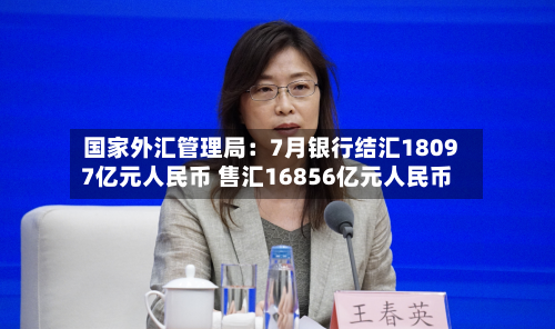国家外汇管理局：7月银行结汇18097亿元人民币 售汇16856亿元人民币-第2张图片