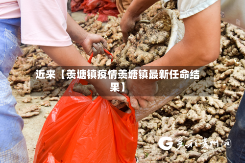近来【羡塘镇疫情羡塘镇最新任命结果】-第1张图片