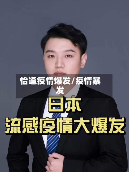 恰逢疫情爆发/疫情暴发-第3张图片