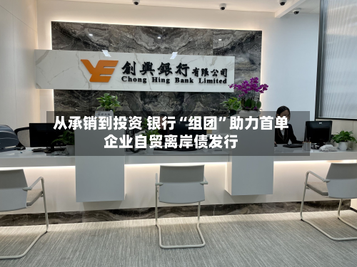 从承销到投资 银行“组团”助力首单企业自贸离岸债发行-第1张图片