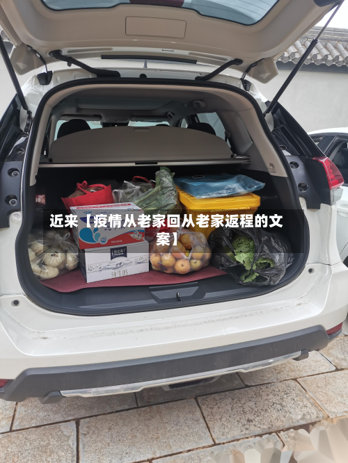 近来【疫情从老家回从老家返程的文案】-第1张图片