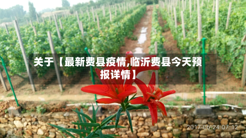 关于【最新费县疫情,临沂费县今天预报详情】-第3张图片