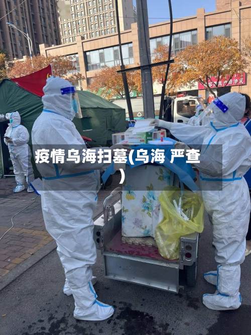 疫情乌海扫墓(乌海 严查)-第1张图片