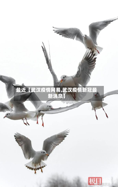 最近【武汉疫情网易,武汉疫情新冠最新消息】-第2张图片