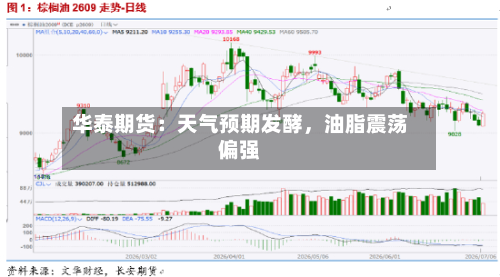 华泰期货：天气预期发酵，油脂震荡偏强-第2张图片