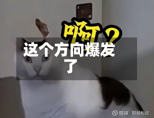 这个方向爆发了-第1张图片