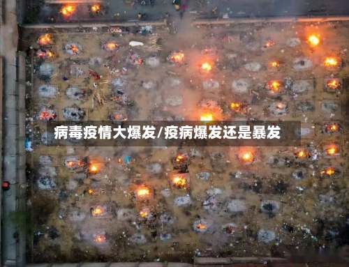 病毒疫情大爆发/疫病爆发还是暴发-第1张图片