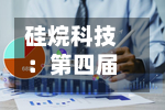 硅烷科技：第四届董事会第九次会议决议公告-第3张图片