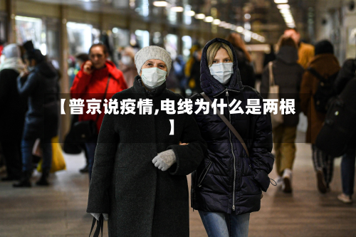 【普京说疫情,电线为什么是两根】-第2张图片