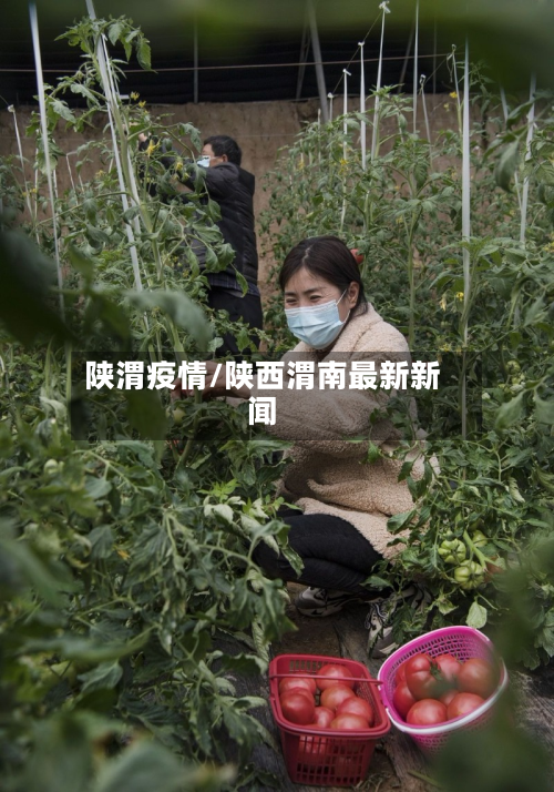 陕渭疫情/陕西渭南最新新闻-第1张图片