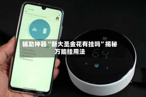 辅助神器“新大圣金花有挂吗”揭秘万能挂用法-第3张图片