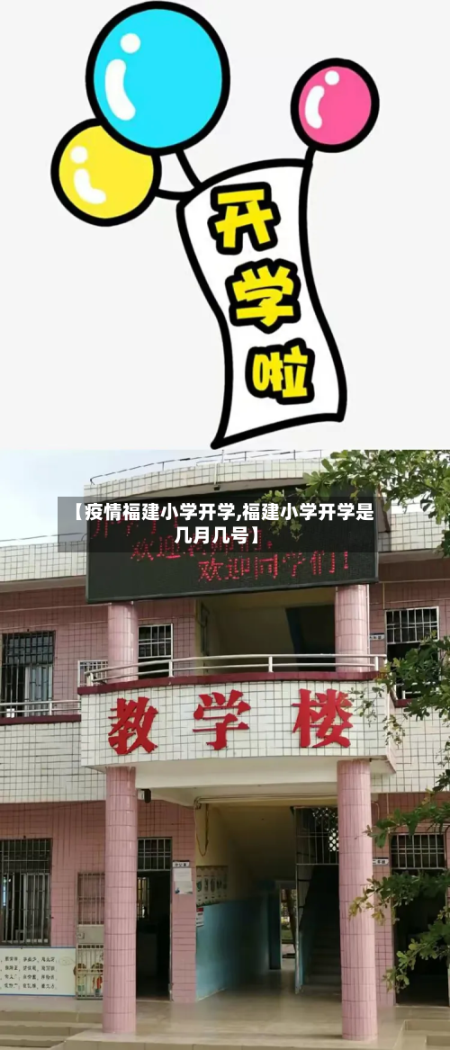 【疫情福建小学开学,福建小学开学是几月几号】-第2张图片