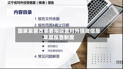 国家发展改革委拟设置对外投资信息年度报告制度-第1张图片