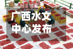 广西水文中心发布洪水红色预警 预计明江水位将全线超警-第1张图片