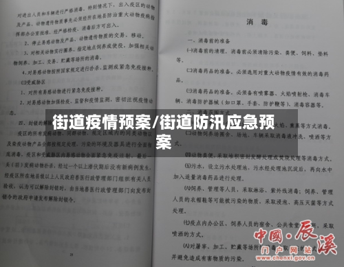 街道疫情预案/街道防汛应急预案-第2张图片