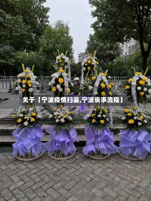 关于【宁波疫情扫墓,宁波丧事流程】-第1张图片