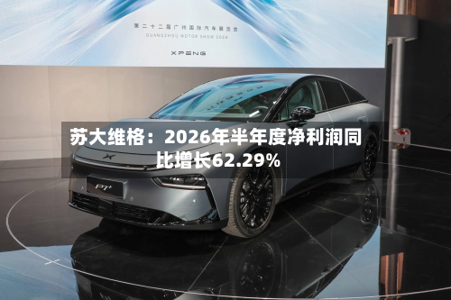 苏大维格：2026年半年度净利润同比增长62.29%-第2张图片