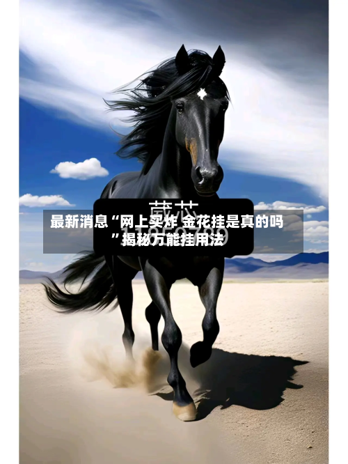 最新消息“网上买炸 金花挂是真的吗”揭秘万能挂用法-第1张图片