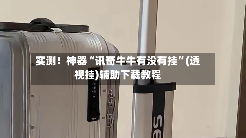 实测！神器“讯奇牛牛有没有挂	”(透视挂)辅助下载教程-第1张图片