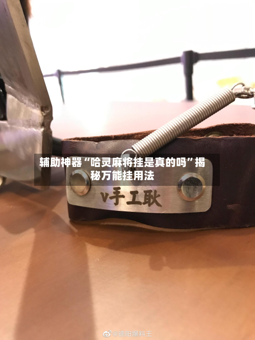 辅助神器“哈灵麻将挂是真的吗”揭秘万能挂用法-第1张图片