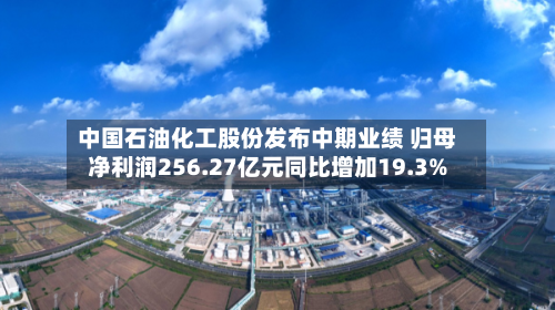 中国石油化工股份发布中期业绩 归母净利润256.27亿元同比增加19.3%-第1张图片