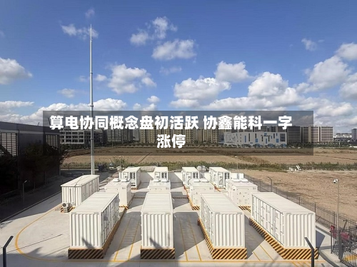算电协同概念盘初活跃 协鑫能科一字涨停-第1张图片