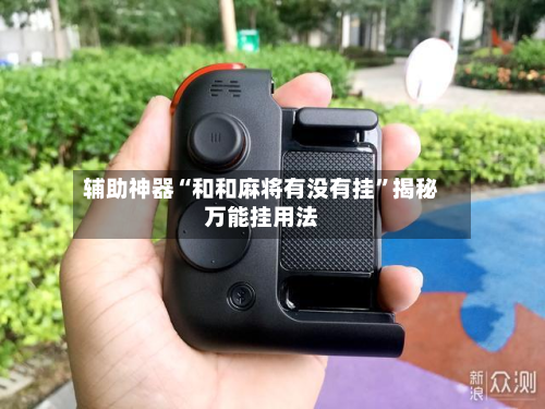 辅助神器“和和麻将有没有挂”揭秘万能挂用法-第3张图片