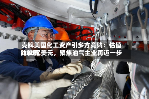 壳牌美国化工资产引多方竞购：估值比较高约80亿美元，聚焦油气主业再迈一步-第2张图片