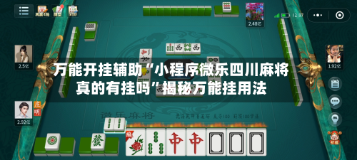 万能开挂辅助“小程序微乐四川麻将真的有挂吗”揭秘万能挂用法-第3张图片