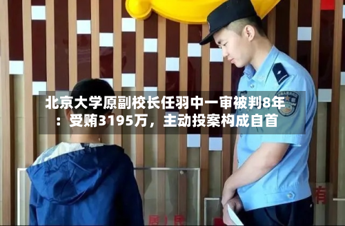 北京大学原副校长任羽中一审被判8年：受贿3195万，主动投案构成自首-第3张图片
