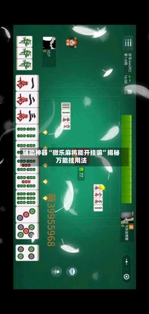 辅助神器“微乐麻将能开挂嘛	”揭秘万能挂用法-第2张图片
