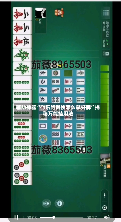 辅助神器“微乐跑得快怎么拿好牌”揭秘万能挂用法-第1张图片